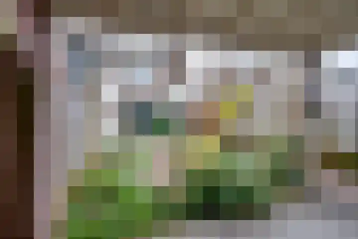 De Wouwerd 10 Udenhout thumbnail 44
