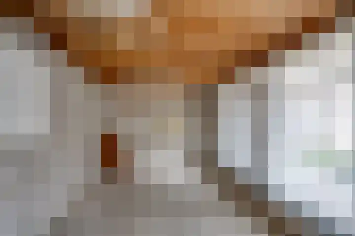 De Wouwerd 10 Udenhout thumbnail 45
