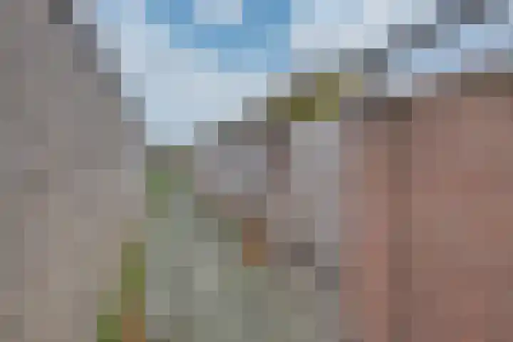 De Wouwerd 10 Udenhout thumbnail 47