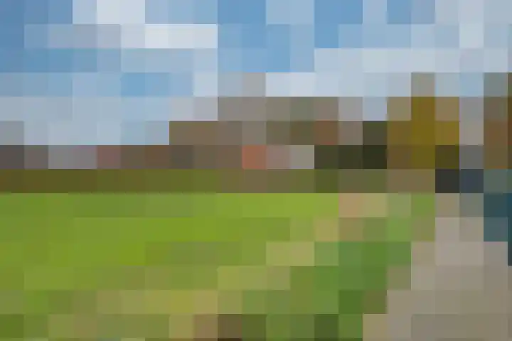 De Wouwerd 10 Udenhout thumbnail 48