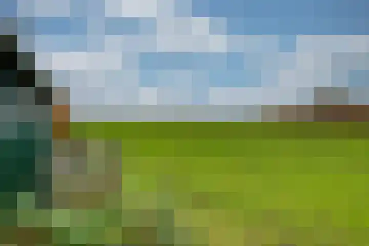 De Wouwerd 10 Udenhout thumbnail 49