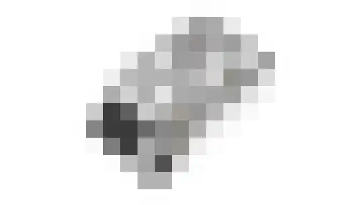 De Wouwerd 10 Udenhout thumbnail 57