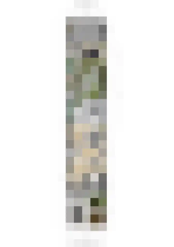 De Wouwerd 10 Udenhout thumbnail 64