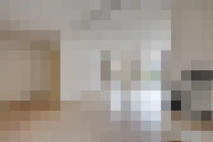 De Wouwerd 10 Udenhout thumbnail 8