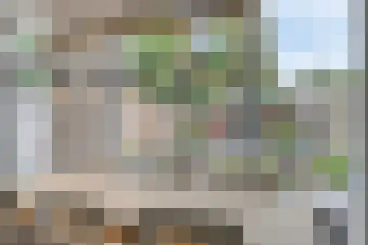 De Wouwerd 17 Udenhout thumbnail 10
