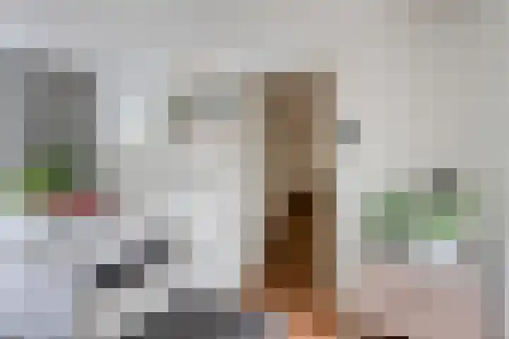 De Wouwerd 17 Udenhout thumbnail 13