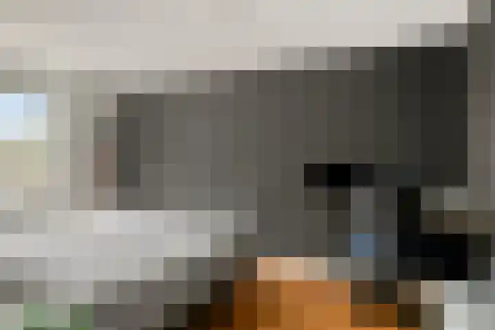 De Wouwerd 17 Udenhout thumbnail 16