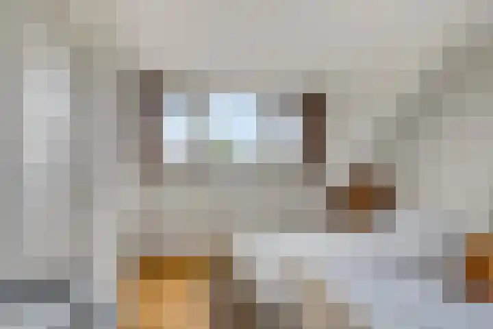 De Wouwerd 17 Udenhout thumbnail 21