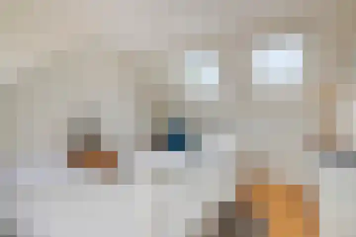 De Wouwerd 17 Udenhout thumbnail 22