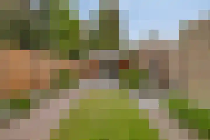 De Wouwerd 17 Udenhout thumbnail 26