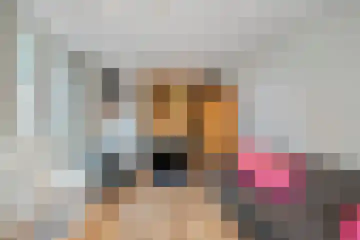 De Wouwerd 17 Udenhout thumbnail 29