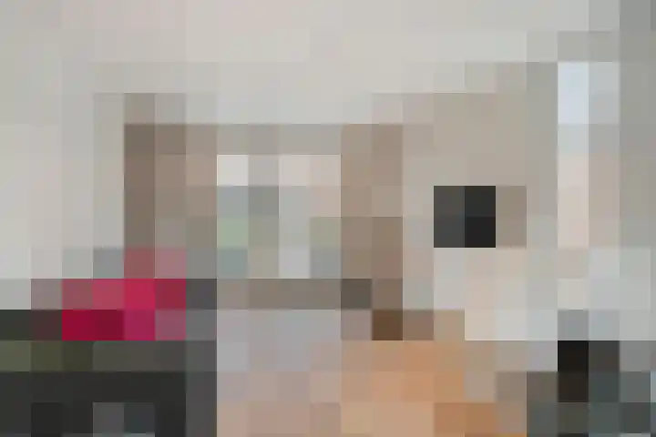 De Wouwerd 17 Udenhout thumbnail 30