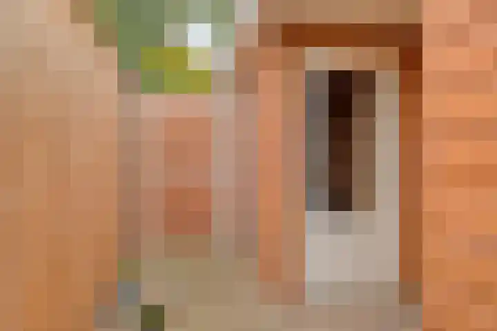 De Wouwerd 17 Udenhout thumbnail 32