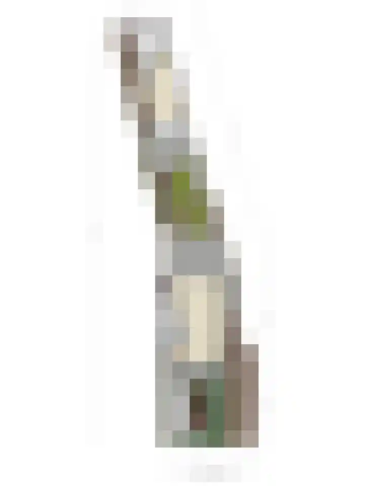 De Wouwerd 17 Udenhout thumbnail 39