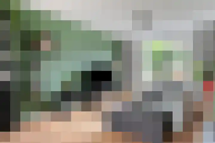 De Wouwerd 17 Udenhout thumbnail 5