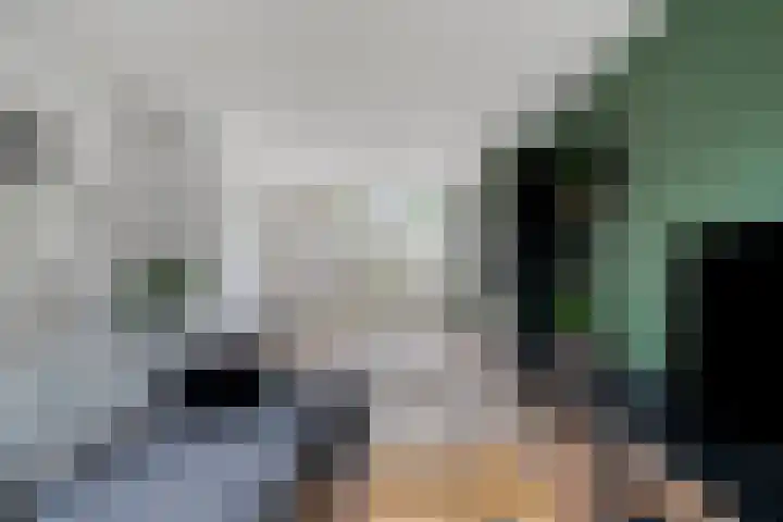 De Wouwerd 17 Udenhout thumbnail 6