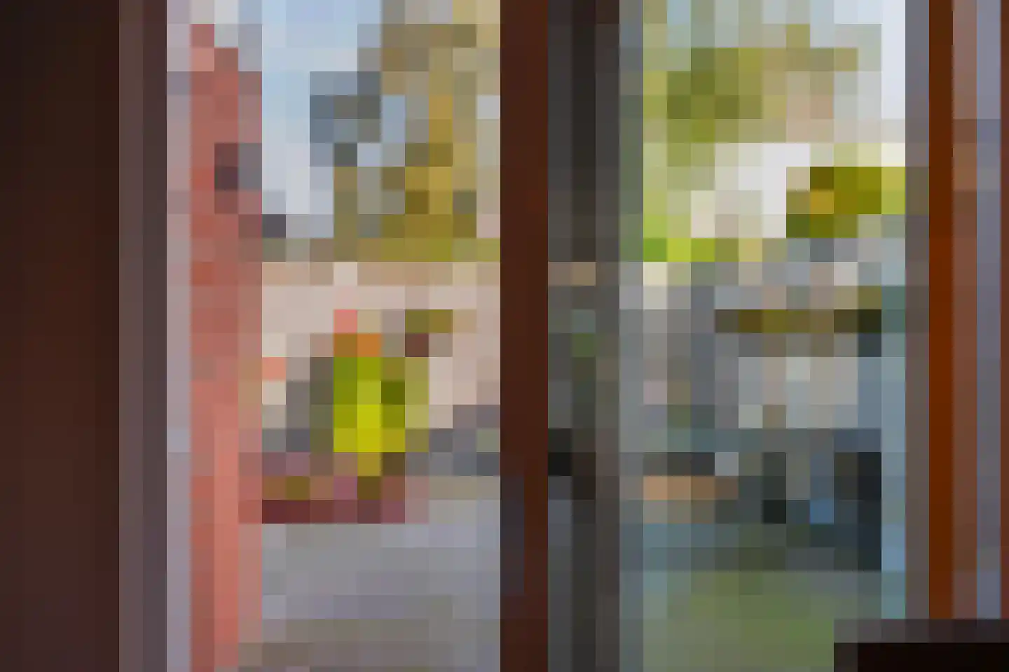 De Wringe 8 Burgum thumbnail 20