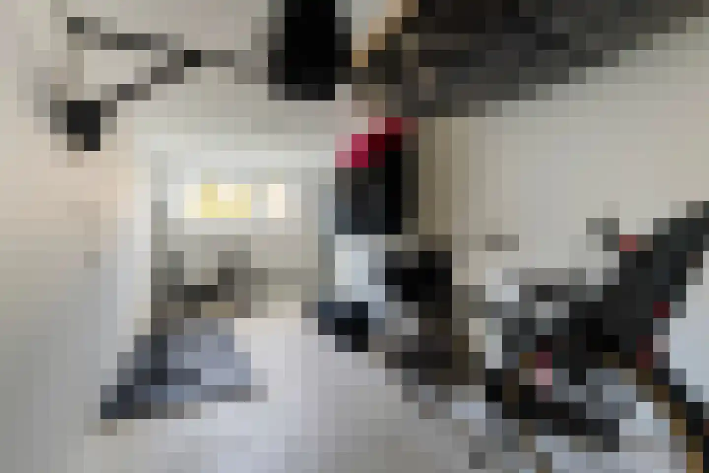 De Wringe 8 Burgum thumbnail 25