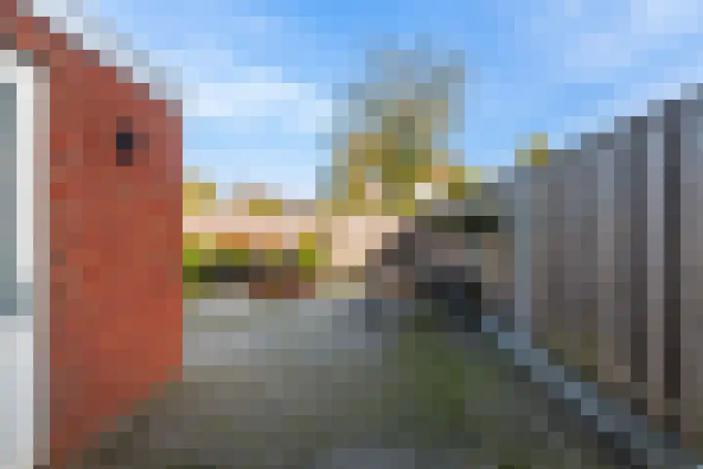 De Wringe 8 Burgum thumbnail 26