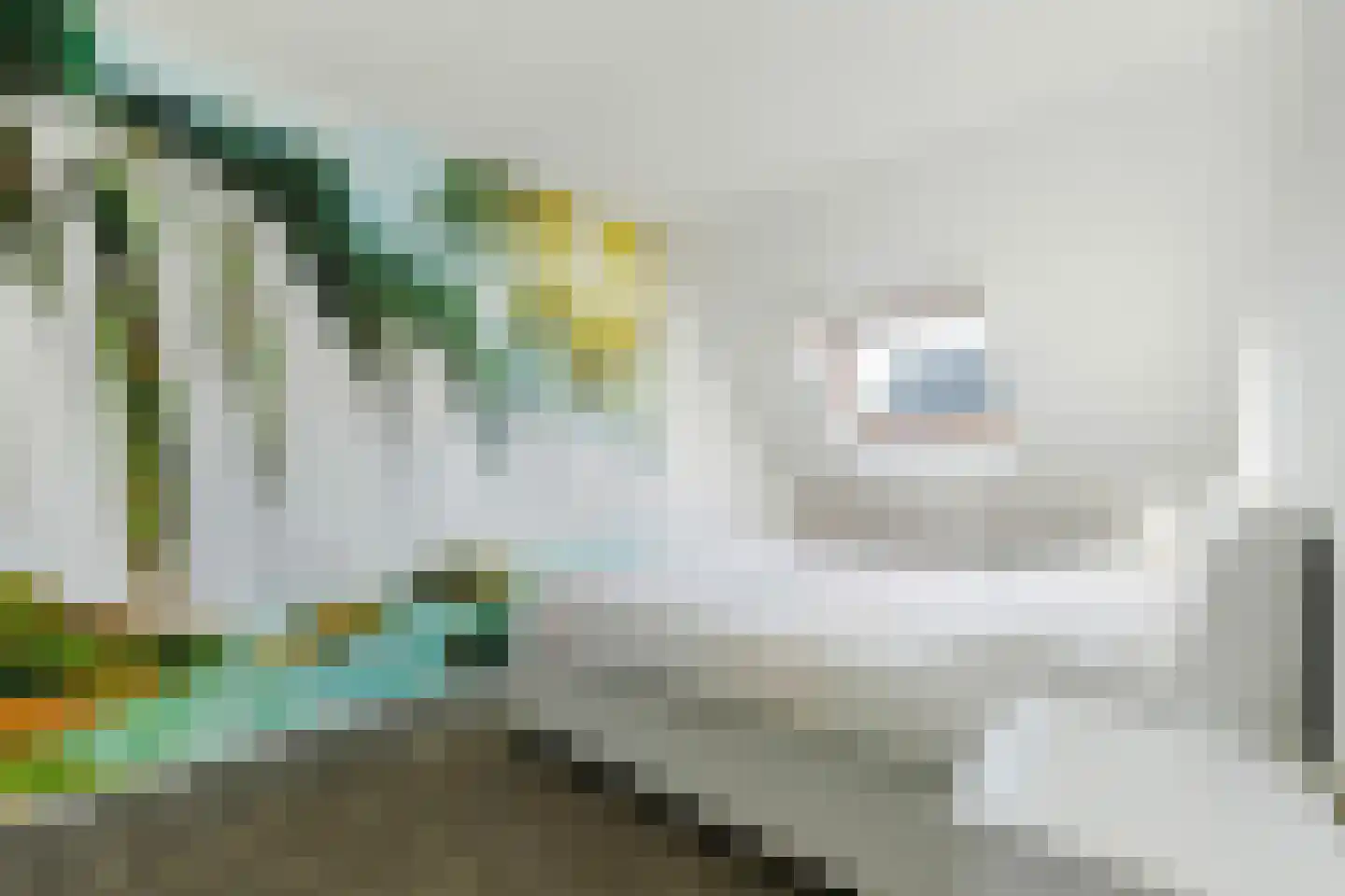 De Wringe 8 Burgum thumbnail 31