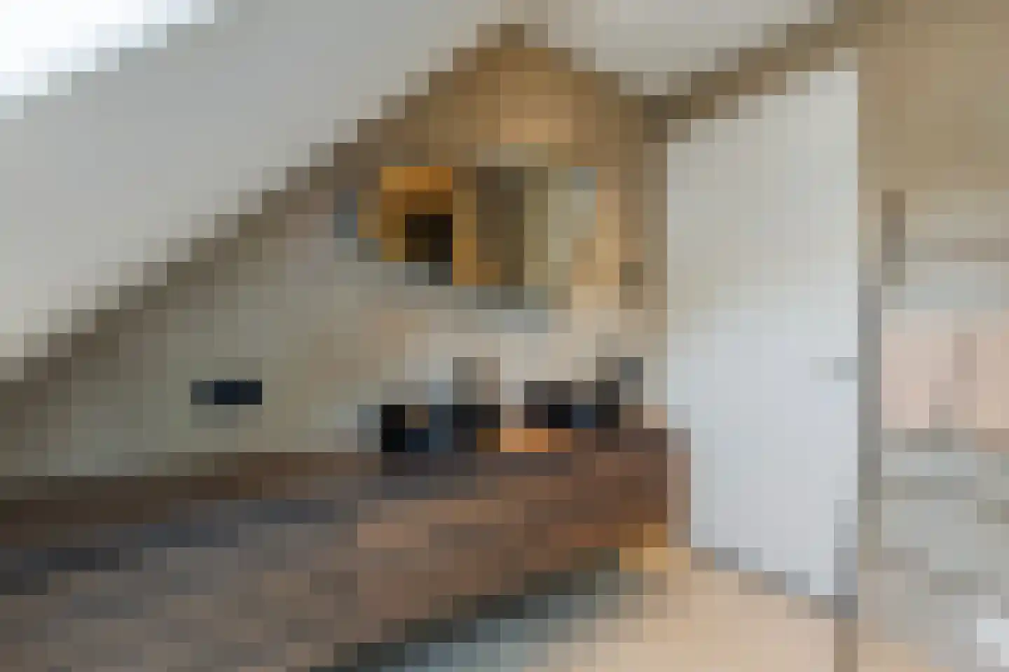 De Wringe 8 Burgum thumbnail 39
