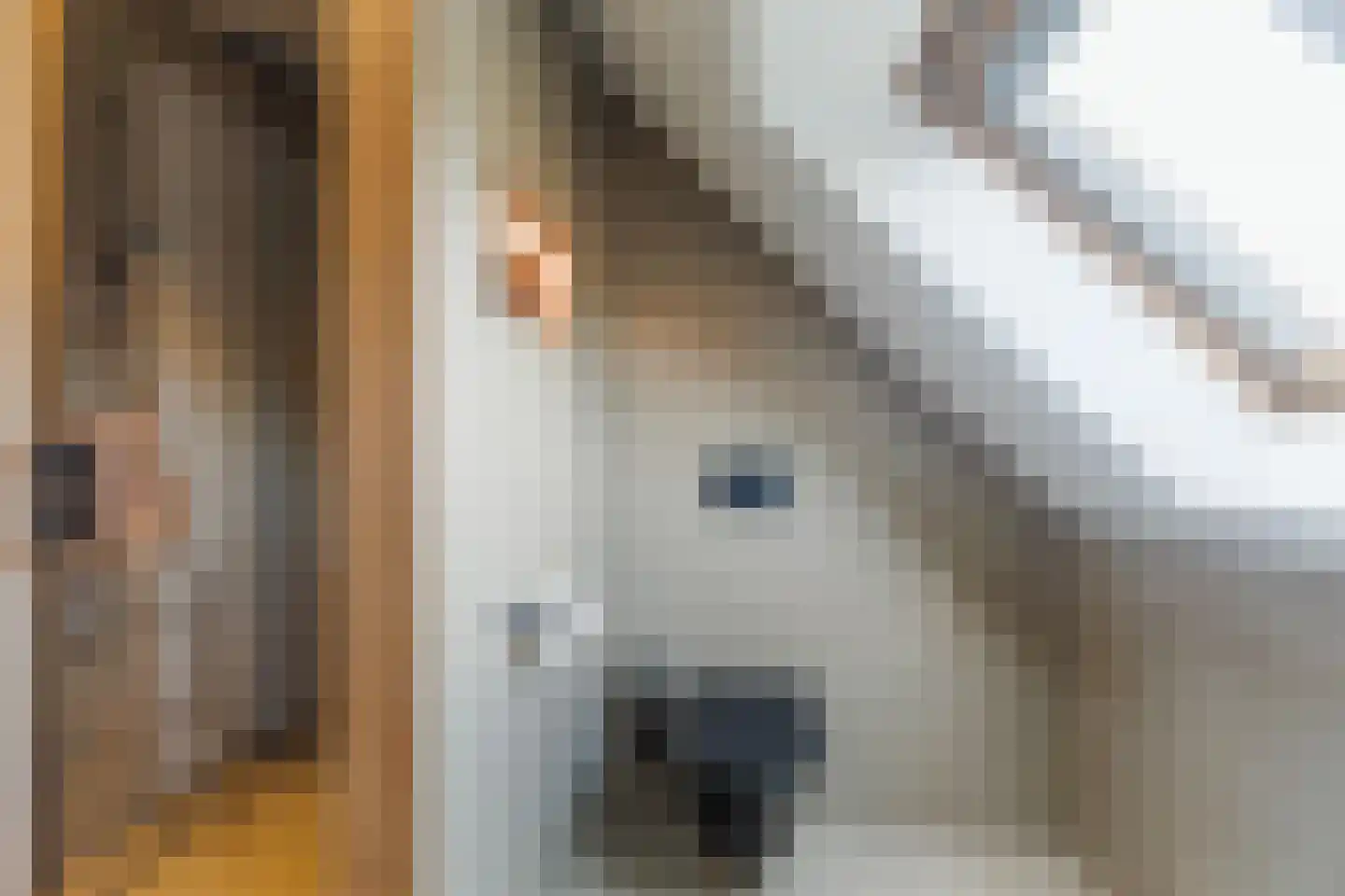 De Wringe 8 Burgum thumbnail 40