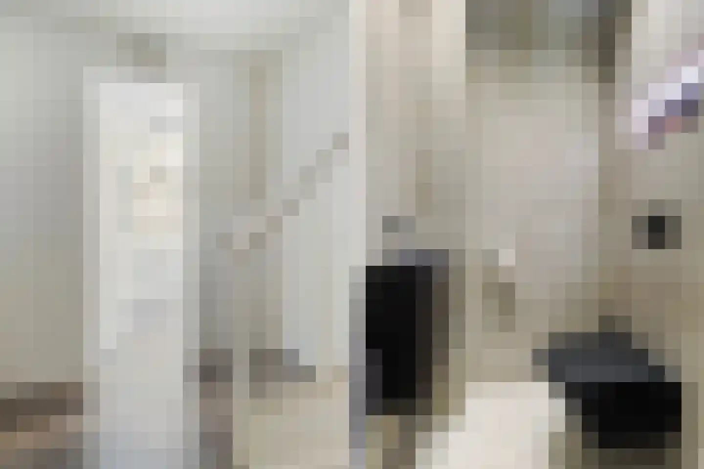 De Wringe 8 Burgum thumbnail 8