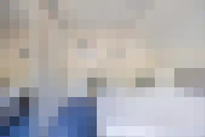 de Wulp 1 Denekamp thumbnail 13