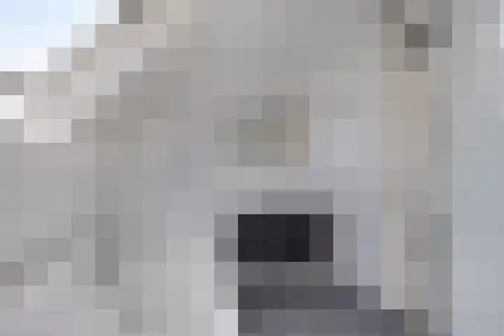 de Wulp 1 Denekamp thumbnail 14