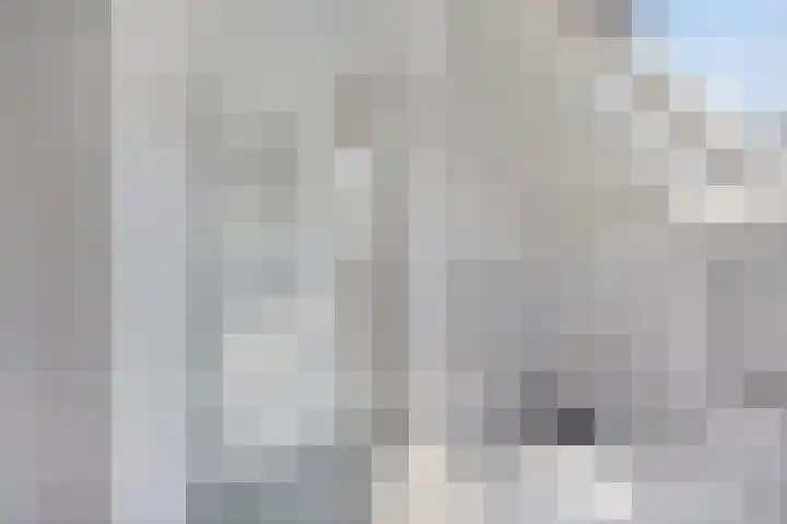 de Wulp 1 Denekamp thumbnail 15