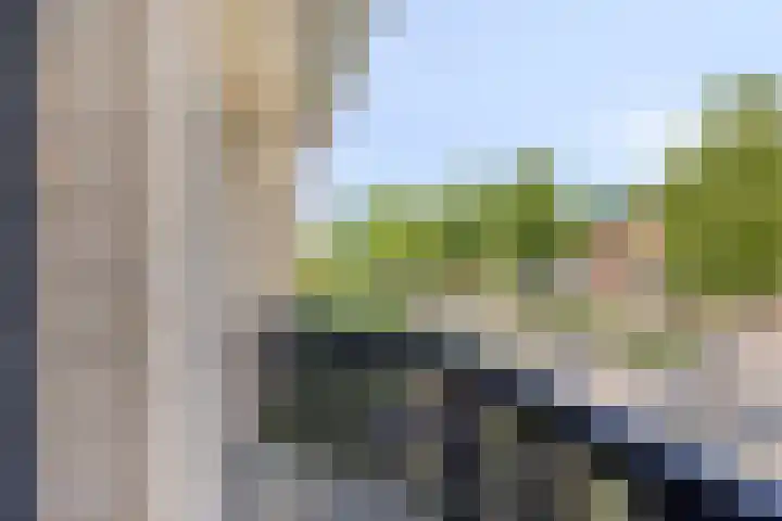 de Wulp 1 Denekamp thumbnail 18