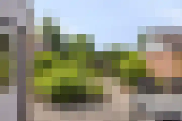 de Wulp 1 Denekamp thumbnail 19