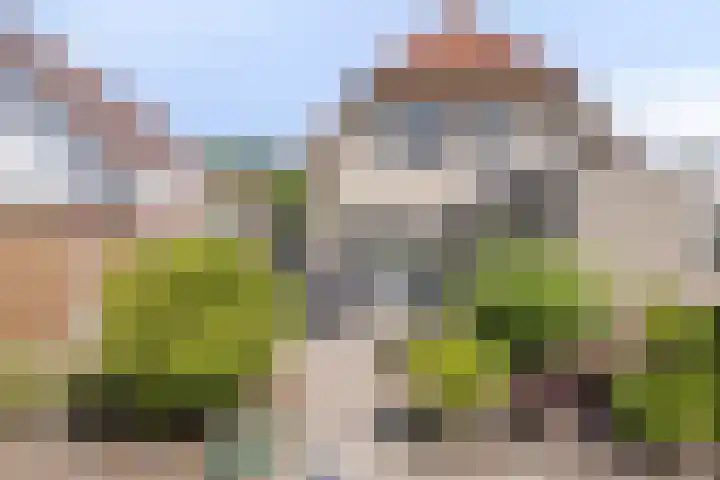 de Wulp 1 Denekamp thumbnail 20