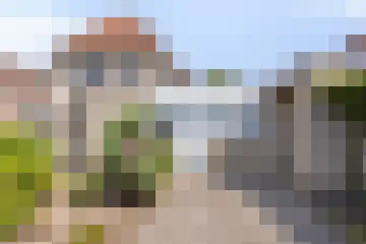 de Wulp 1 Denekamp thumbnail 21