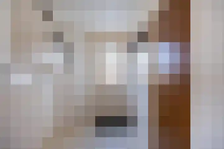 de Wulp 1 Denekamp thumbnail 22