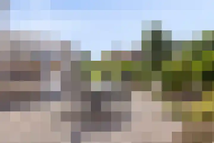 de Wulp 1 Denekamp thumbnail 24