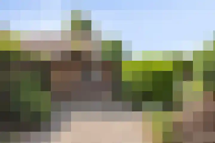 de Wulp 1 Denekamp thumbnail 25