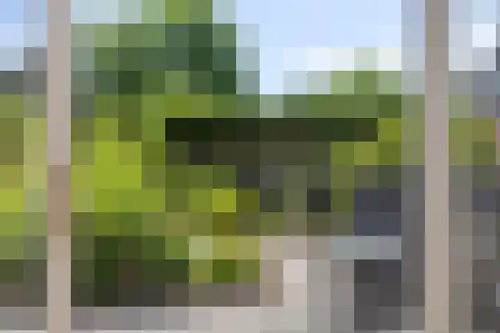 de Wulp 1 Denekamp thumbnail 7