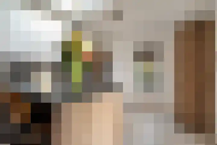 De Wulp 11 Hoogeveen thumbnail 18
