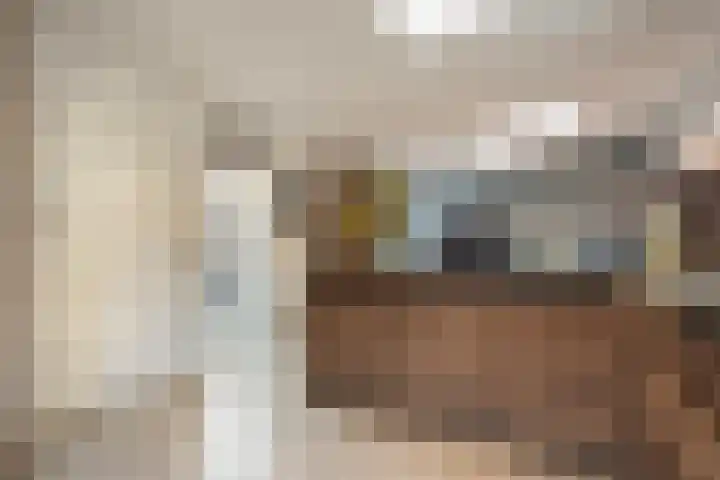 De Wulp 11 Hoogeveen thumbnail 20