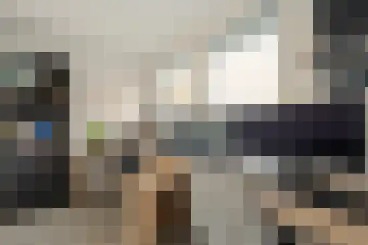 De Wulp 11 Hoogeveen thumbnail 23