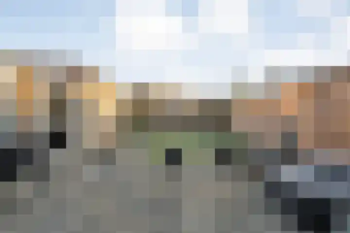 De Wulp 11 Hoogeveen thumbnail 35