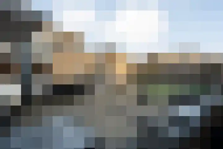 De Wulp 11 Hoogeveen thumbnail 36