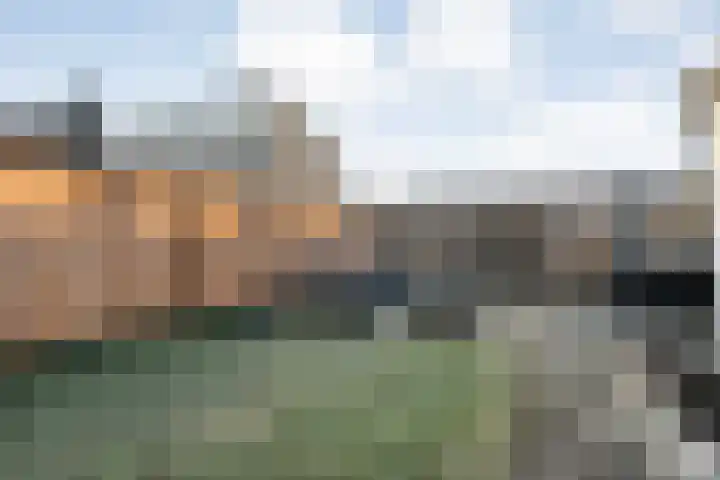 De Wulp 11 Hoogeveen thumbnail 38