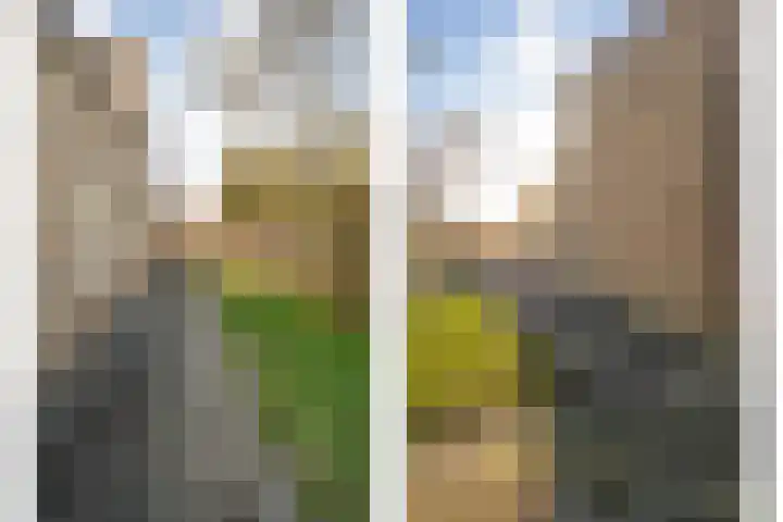 De Wulp 11 Hoogeveen thumbnail 39