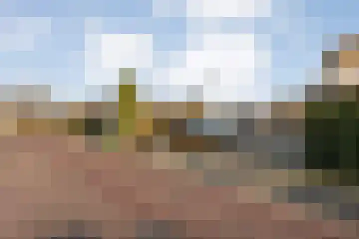 De Wulp 11 Hoogeveen thumbnail 41