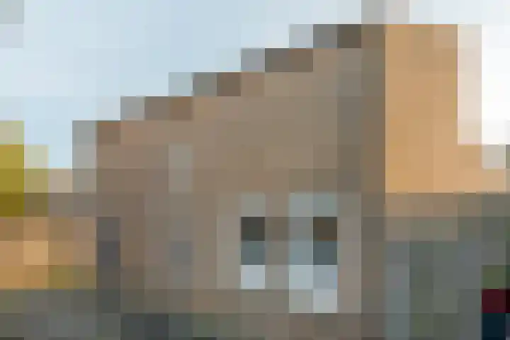 De Wulp 11 Hoogeveen thumbnail 5