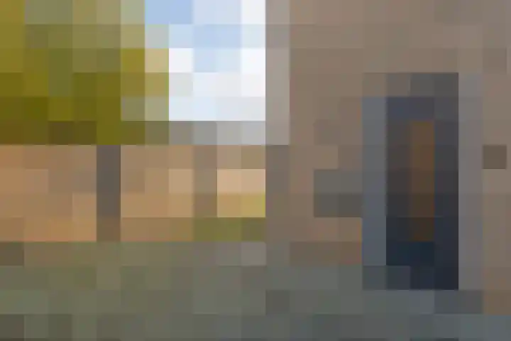 De Wulp 11 Hoogeveen thumbnail 6