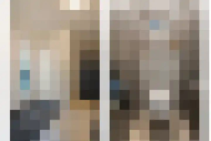 De Wulp 11 Hoogeveen thumbnail 7