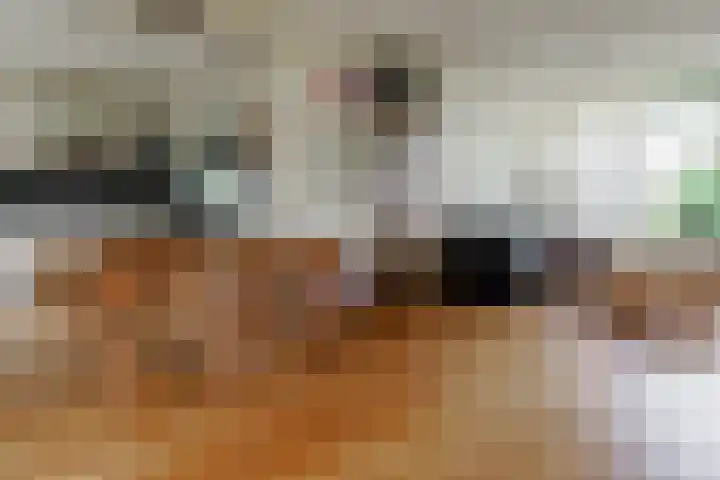 De Wulp 11 Vriezenveen thumbnail 12